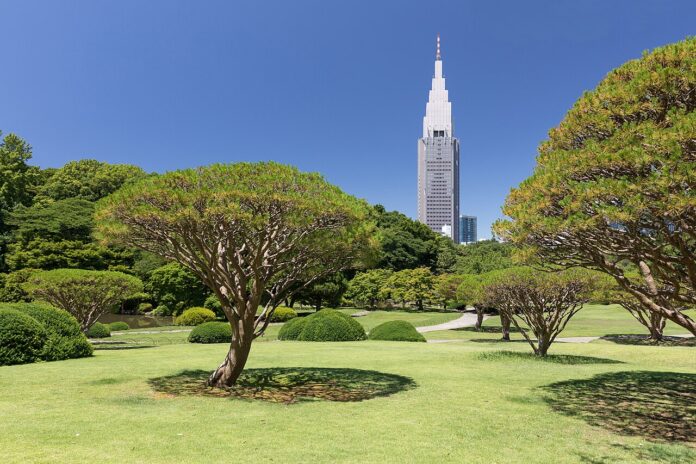 NTT Docomo Yoyogi Building clock tower rising above Shinjuku Gyoen garden in Tokyo