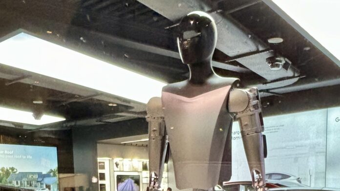 Tesla Bot (Optimus) humanoid robot on display inside a Tesla store at Westfield Century City, Los Angeles (cropped)